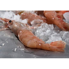 Load image into Gallery viewer, Ocean Run Fresh - BC Spot Prawns - Whole/Tails