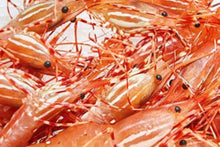 Load image into Gallery viewer, Ocean Run Fresh - BC Spot Prawns - Whole/Tails