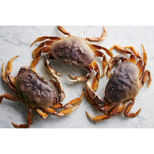 Load image into Gallery viewer, Frozen Whole Cooked Dungeness Crab - 30 Lbs a-fish-company