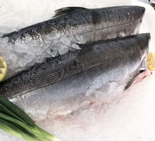 Load image into Gallery viewer, Fresh Wild Whole Salmon H&G - Sockeye