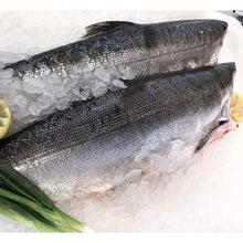Load image into Gallery viewer, Fresh Wild Whole Salmon H&G - Sockeye