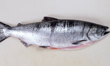 Load image into Gallery viewer, Fresh Wild Whole Salmon H&G - Spring