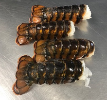 Load image into Gallery viewer, Frozen Premium Wild Lobster Tails - 10/4 Lbs

