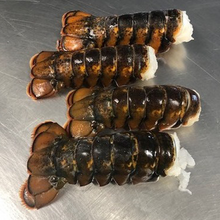 Load image into Gallery viewer, Frozen Premium Wild Lobster Tails