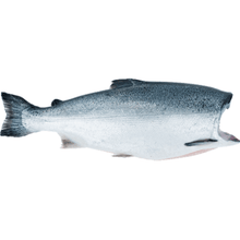 Load image into Gallery viewer, Fresh Wild Whole Salmon H&G - (Coho-Sockeye-Spring)