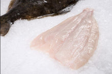 Load image into Gallery viewer, Fresh Wild Halibut - Fillets & Cheeks