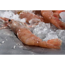 Load image into Gallery viewer, Frozen BC Spot Prawns - Whole