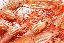 Load image into Gallery viewer, Frozen BC Spot Prawns - Whole