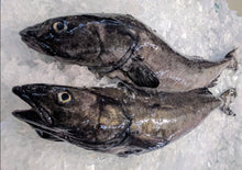 Load image into Gallery viewer, Fresh Wild Whole Sablefish/Black Cod - H&amp;G
