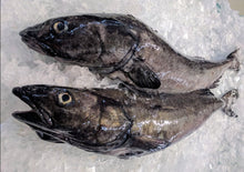 Load image into Gallery viewer, Fresh Wild Whole Sablefish/Black Cod