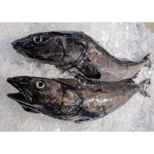 Load image into Gallery viewer, Fresh Wild Whole Sablefish/Black Cod