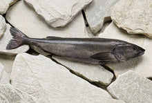 Load image into Gallery viewer, Fresh Wild Whole Sablefish/Black Cod