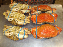 Load image into Gallery viewer, Frozen Whole Cooked Dungeness Crab - 30 Lbs

