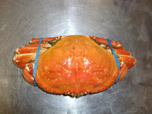 Load image into Gallery viewer, Frozen Whole Cooked Dungeness Crab - 30 Lbs