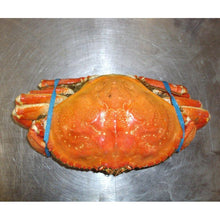 Load image into Gallery viewer, Frozen Whole Cooked Dungeness Crab - 30 Lbs a-fish-company