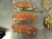 Load image into Gallery viewer, Frozen Whole Cooked Dungeness Crab - 30 Lbs