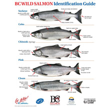 Load image into Gallery viewer, BC Wild Salmon Identification Guide