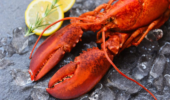 Lobster Health Benefits