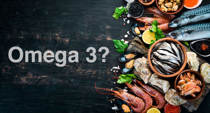 15 Oily Fish High In Omega-3 Fatty Acids