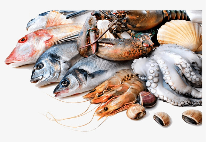 Limited availability, high demand send seafood prices skyrocketing