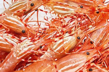 Load image into Gallery viewer, Ocean Run Fresh - BC Spot Prawns - Whole/Tails
