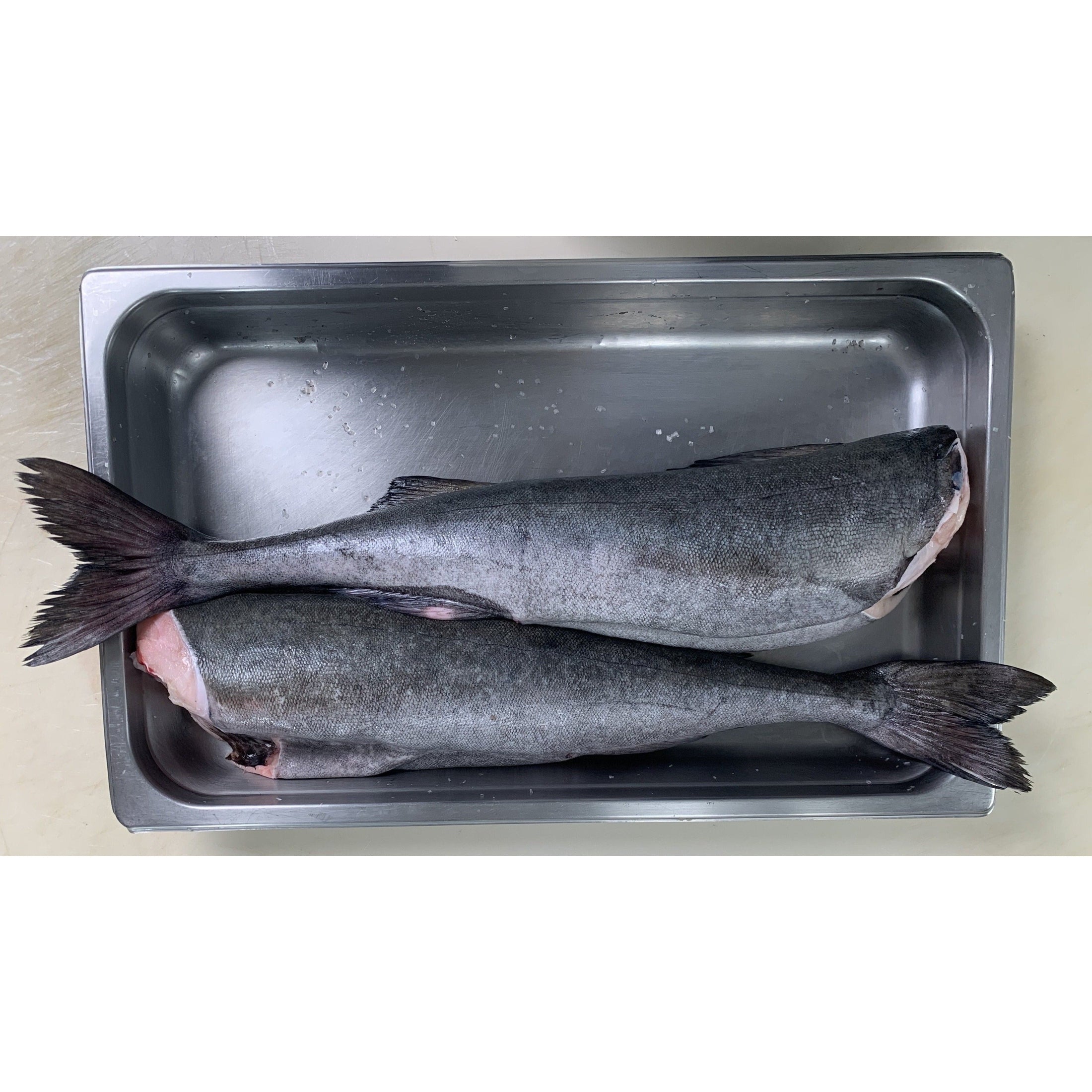 Big Black Cod Fish