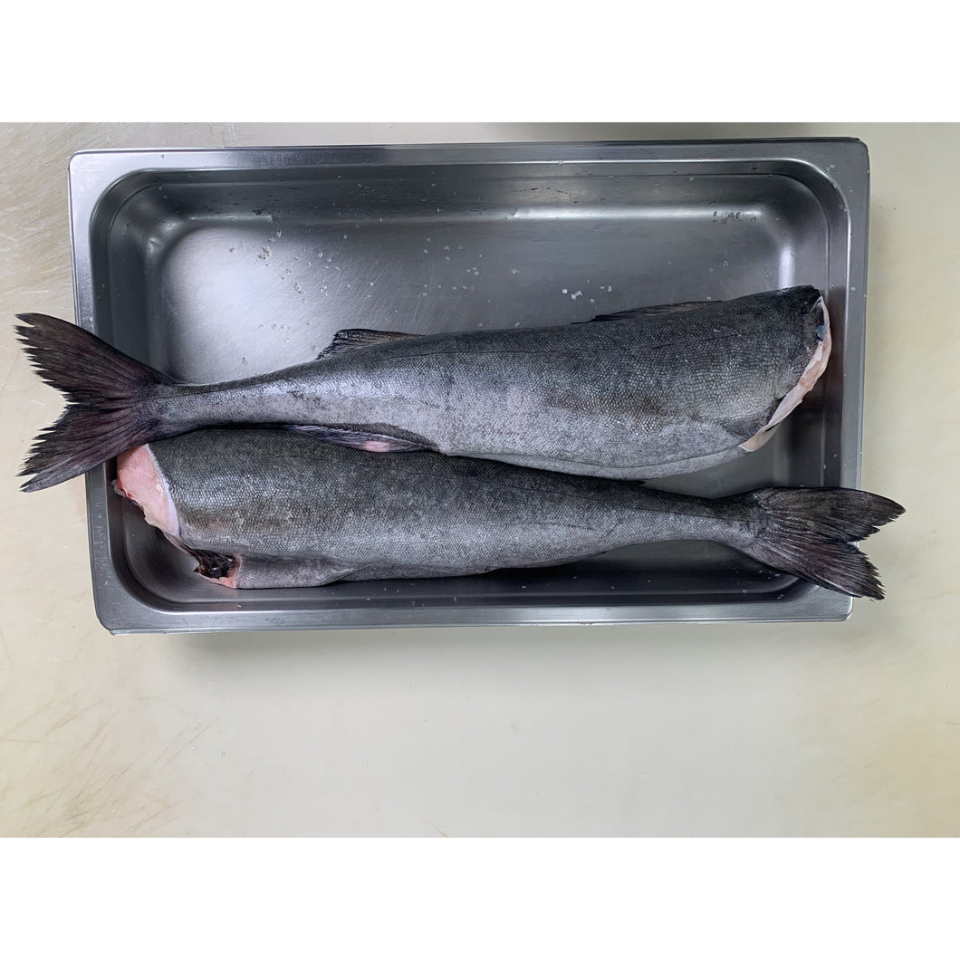 Fresh Wild Whole Sablefish/Black Cod - H&G
