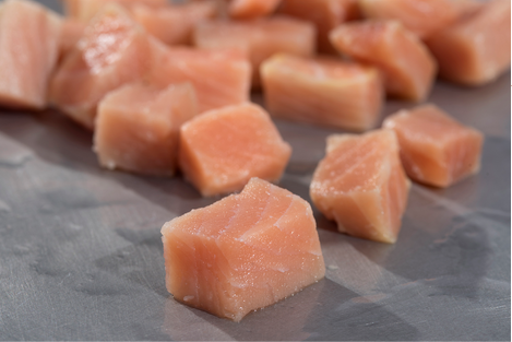 Frozen Chum Salmon Cubes