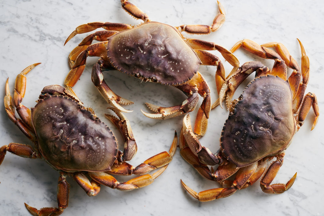 Frozen Whole Cooked Dungeness Crab - 30 Lbs