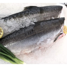 Load image into Gallery viewer, Fresh Wild Whole Salmon H&amp;G - (Coho-Sockeye-Spring)
