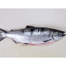 Load image into Gallery viewer, Fresh Wild Whole Salmon H&amp;G - (Coho-Sockeye-Spring)
