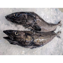 Load image into Gallery viewer, Fresh Wild Whole Sablefish/Black Cod - H&amp;G

